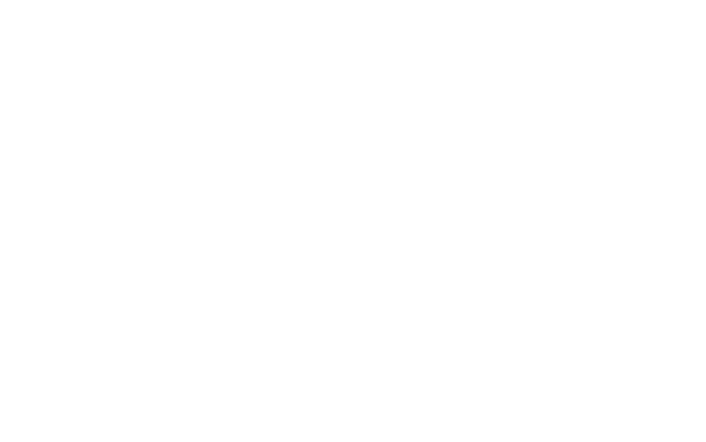ПО возможности